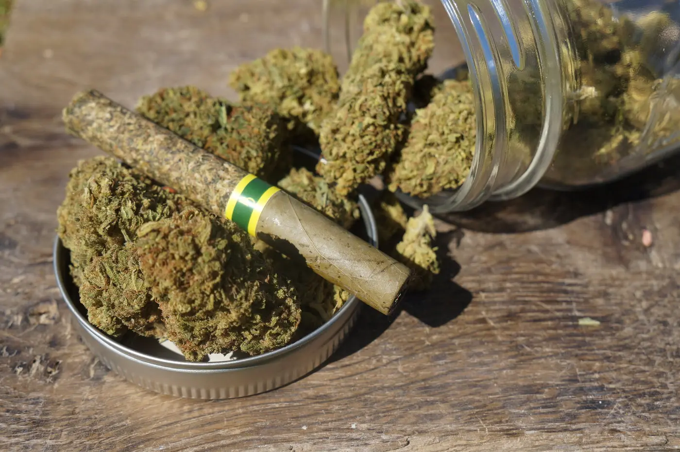 Early PURE Preroll prototype with a natural leaf mouthpiece